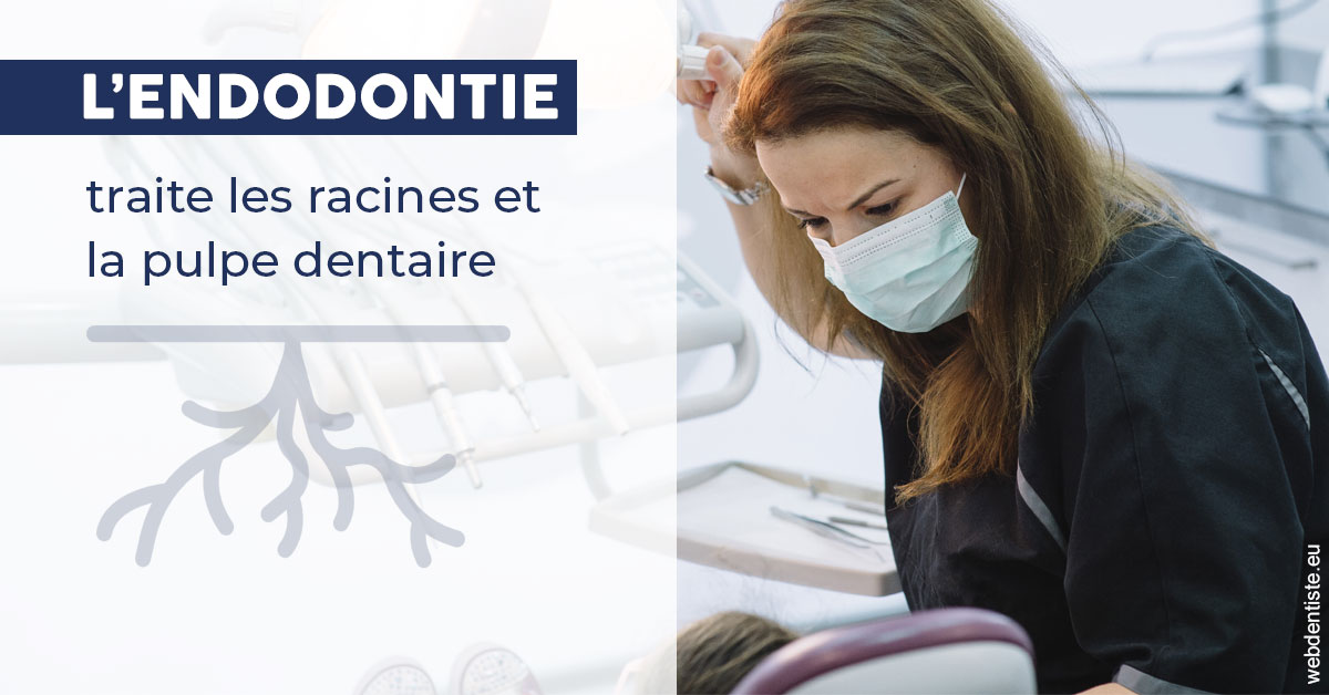 https://dr-hassaneyn-anglais.test-moncomptewebdentiste.fr/L'endodontie 1