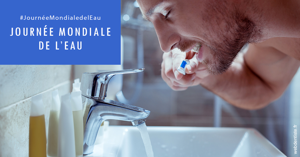 https://dr-hassaneyn-anglais.test-moncomptewebdentiste.fr/Journée de l'eau 2