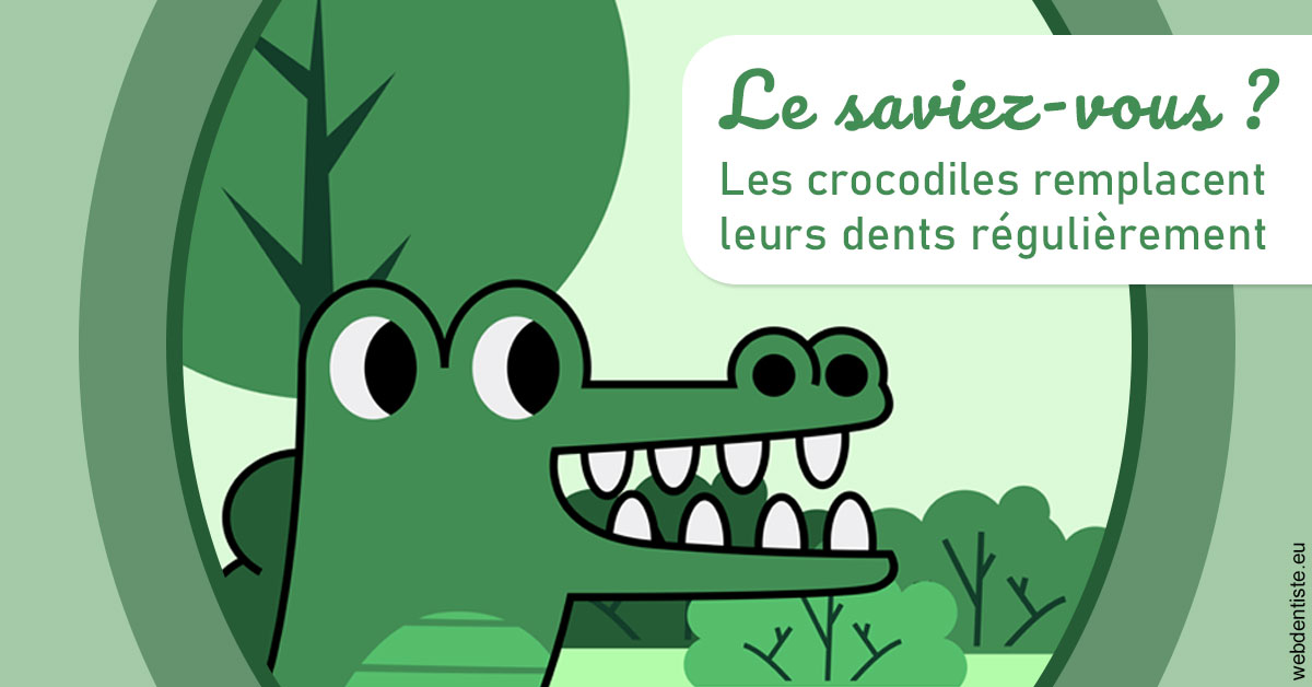 https://dr-hassaneyn-anglais.test-moncomptewebdentiste.fr/Crocodiles 2