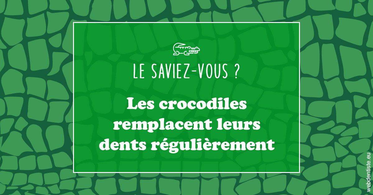 https://dr-hassaneyn-anglais.test-moncomptewebdentiste.fr/Crocodiles 1